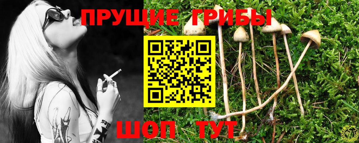Галлюциногенные грибы мухоморы Зеленогорск