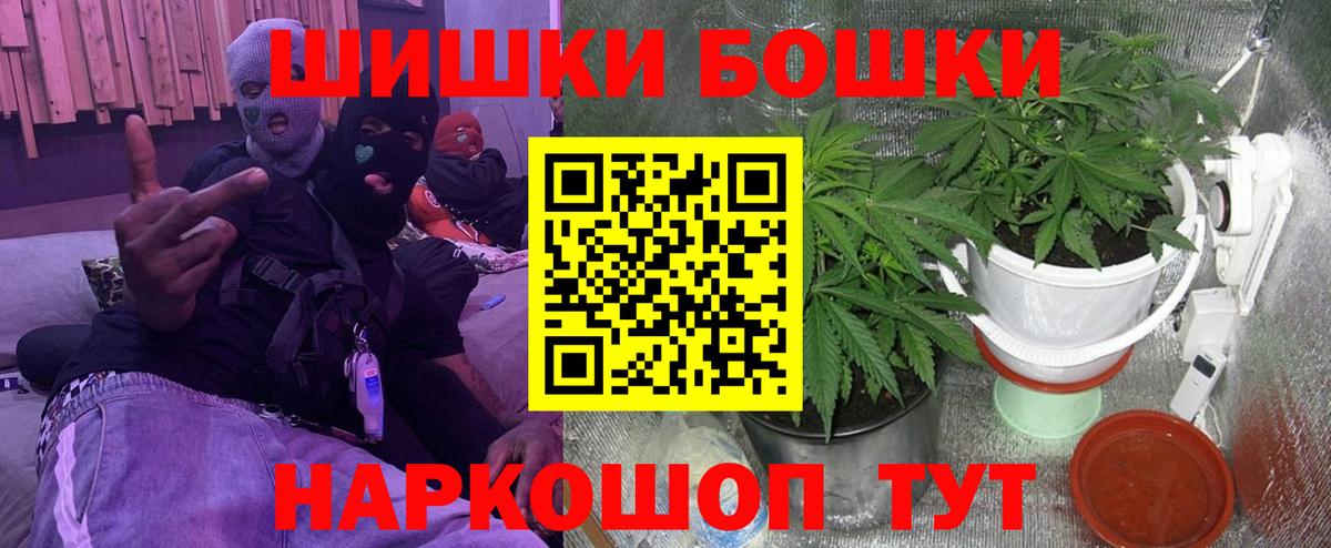 Бошки марихуана сатива Зеленогорск